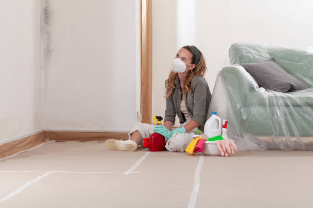 Reliable Commercial Mold Remediation contractor in Marysville, MI by WQB Mold Removal